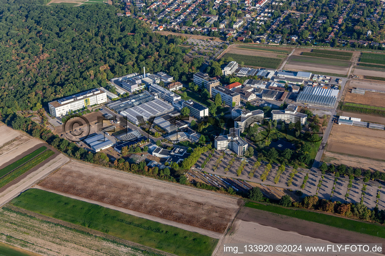 Vue oblique de Centre agricole BASF à Limburgerhof dans le département Rhénanie-Palatinat, Allemagne