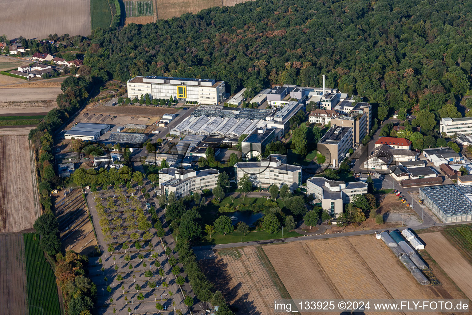 Centre agricole BASF à Limburgerhof dans le département Rhénanie-Palatinat, Allemagne d'en haut