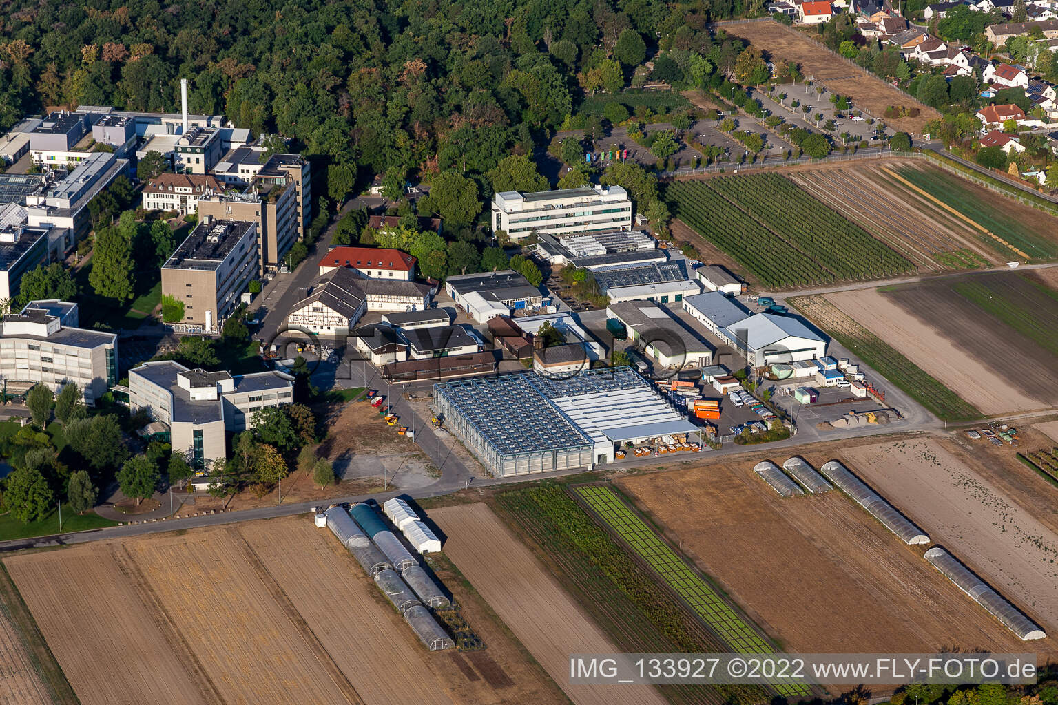 Centre agricole BASF à Limburgerhof dans le département Rhénanie-Palatinat, Allemagne vue d'en haut