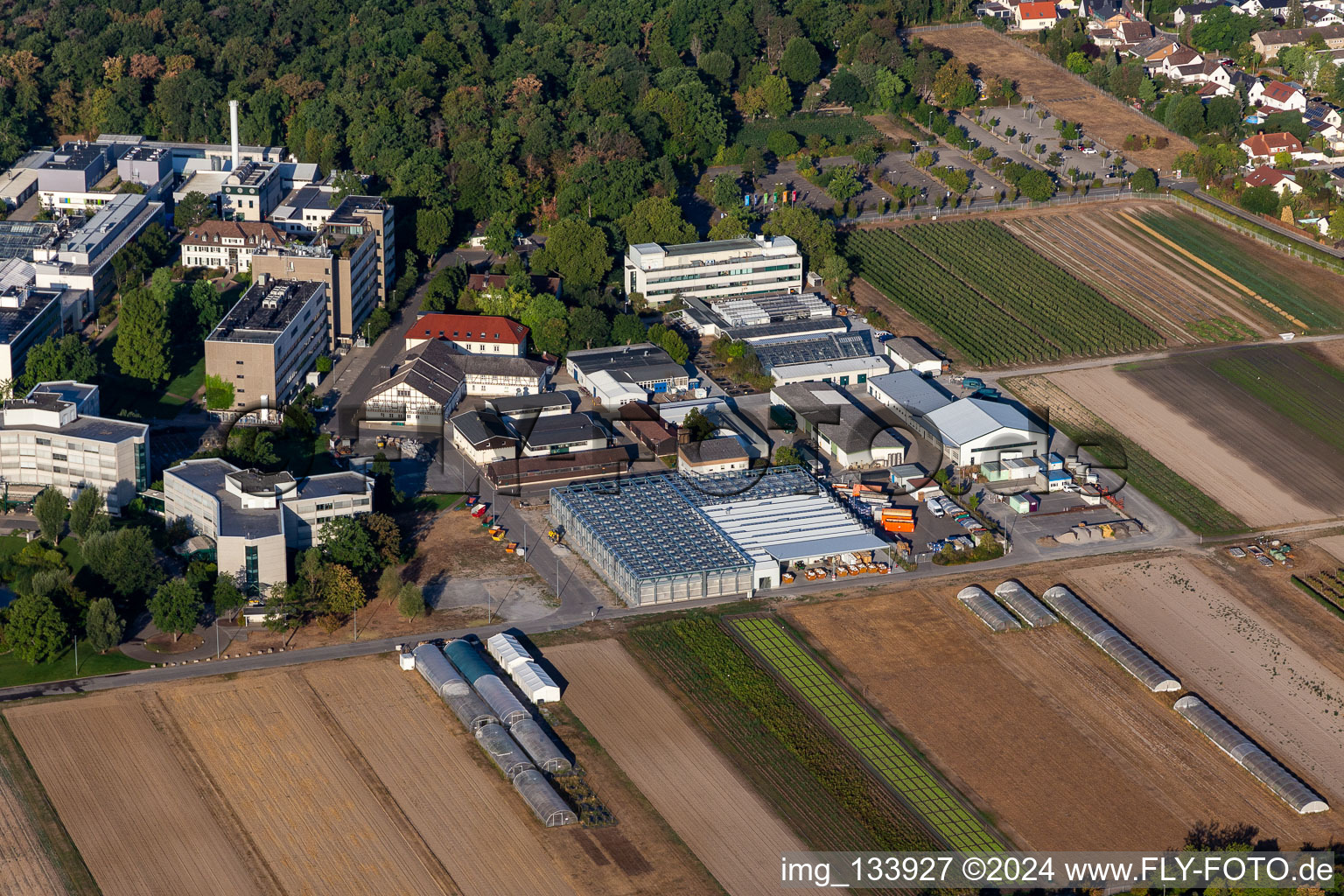 Centre agricole BASF à Limburgerhof dans le département Rhénanie-Palatinat, Allemagne vue d'en haut