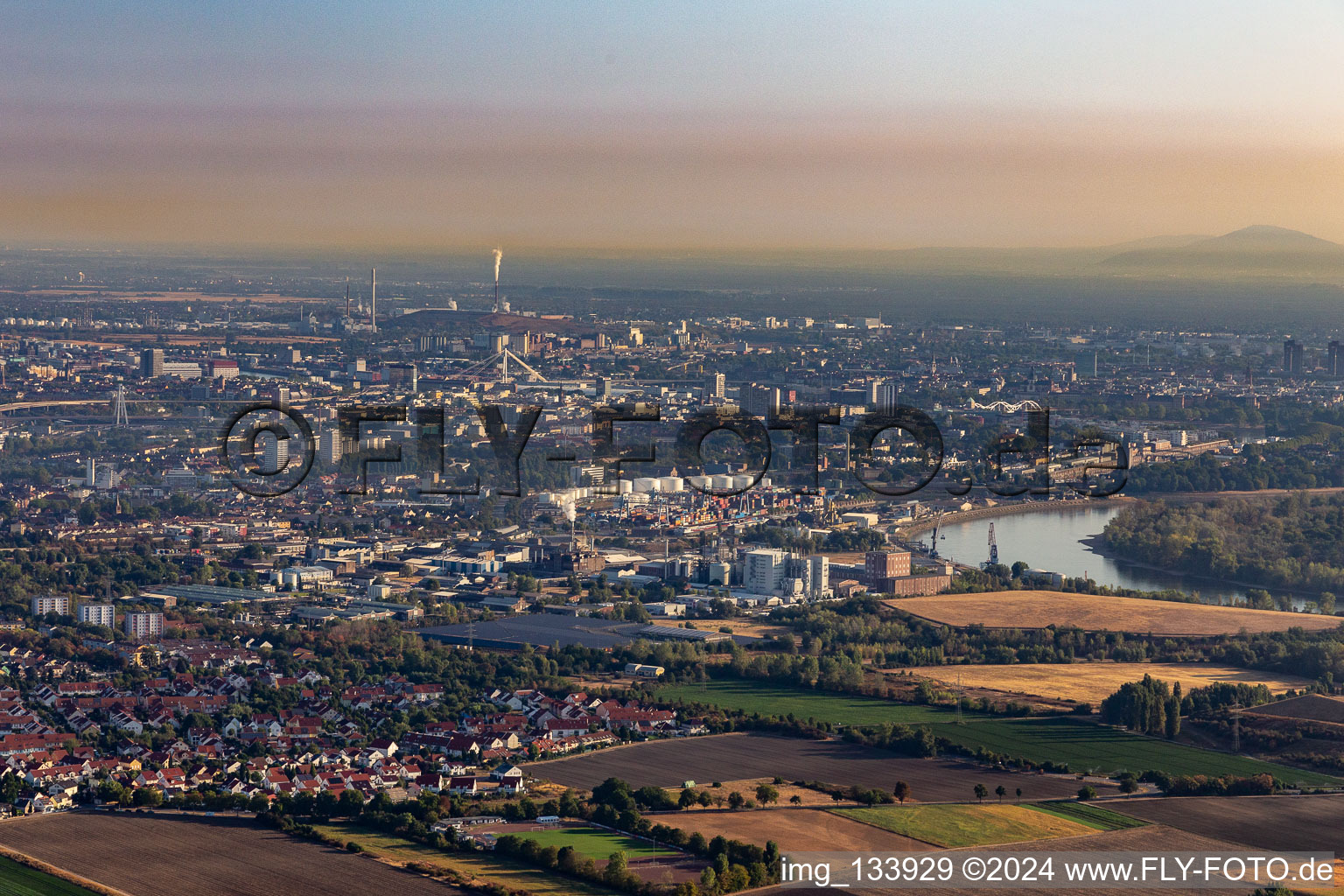 Vue aérienne de Et port rhénan à le quartier Rheingönheim in Ludwigshafen am Rhein dans le département Rhénanie-Palatinat, Allemagne