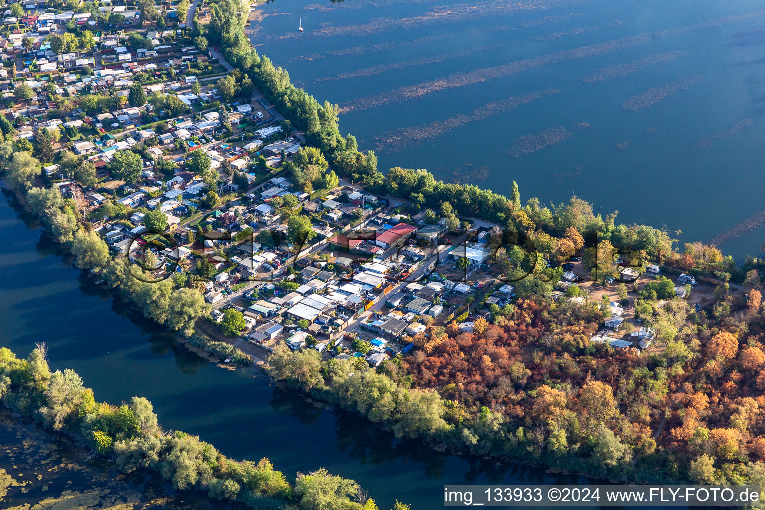 Vue aérienne de Zone de loisirs Blue Adriatic, camping dans la migration des carpes à Altrip dans le département Rhénanie-Palatinat, Allemagne