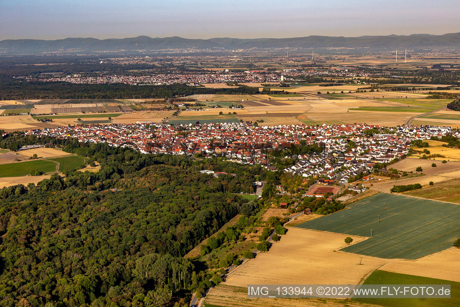 Photographie aérienne de Waldsee dans le département Rhénanie-Palatinat, Allemagne