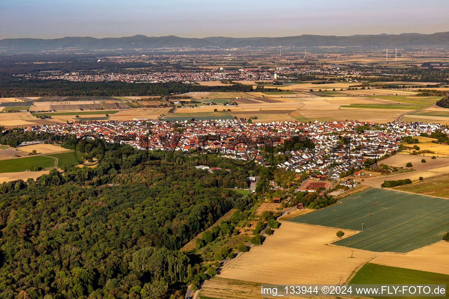 Photographie aérienne de Waldsee dans le département Rhénanie-Palatinat, Allemagne