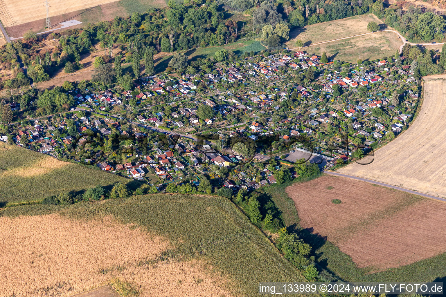 Vue aérienne de Piège à balles pour jardinier familial à Speyer dans le département Rhénanie-Palatinat, Allemagne