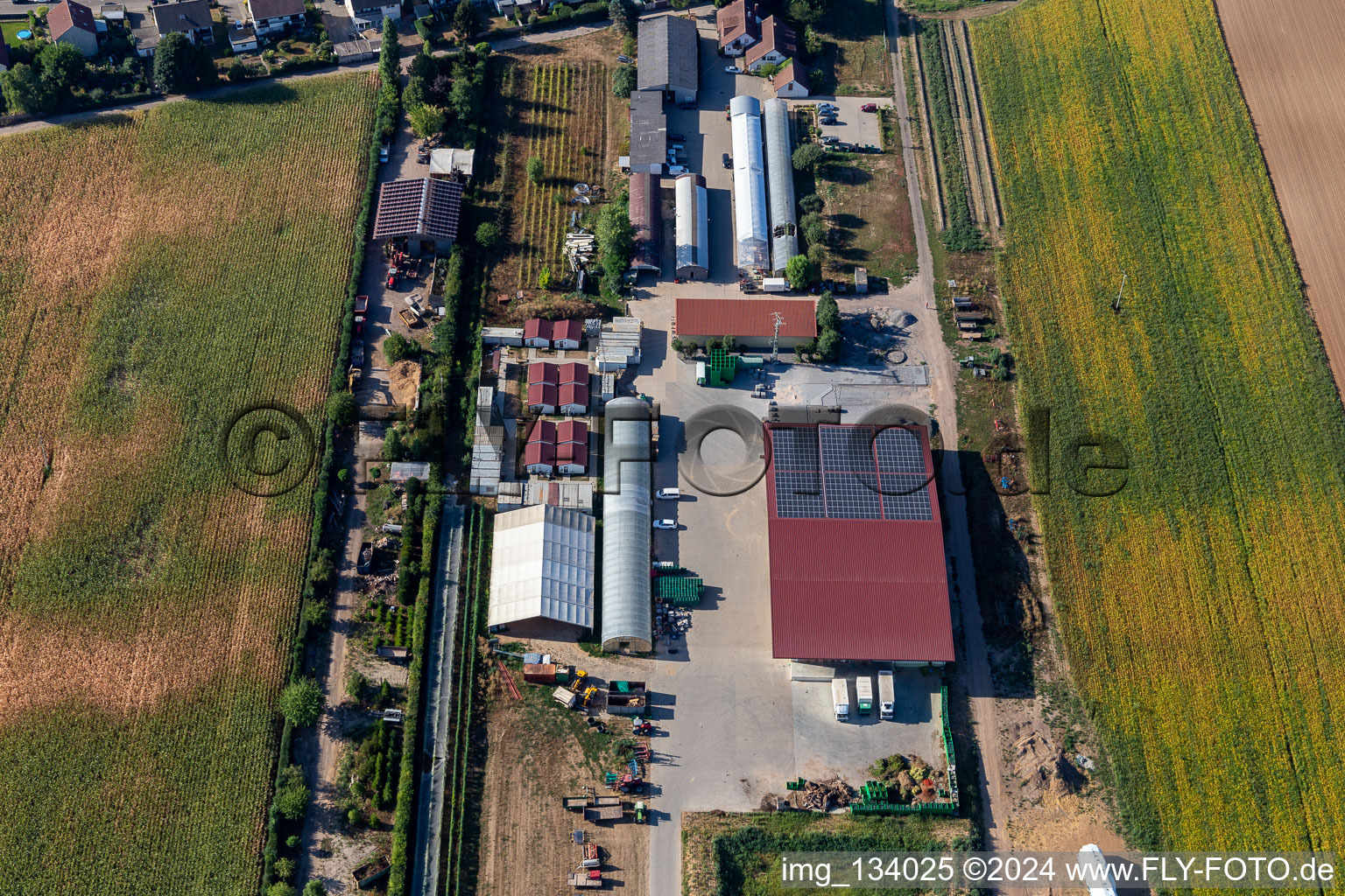 Vue aérienne de Ferme biologique Kugelmann à Kandel dans le département Rhénanie-Palatinat, Allemagne