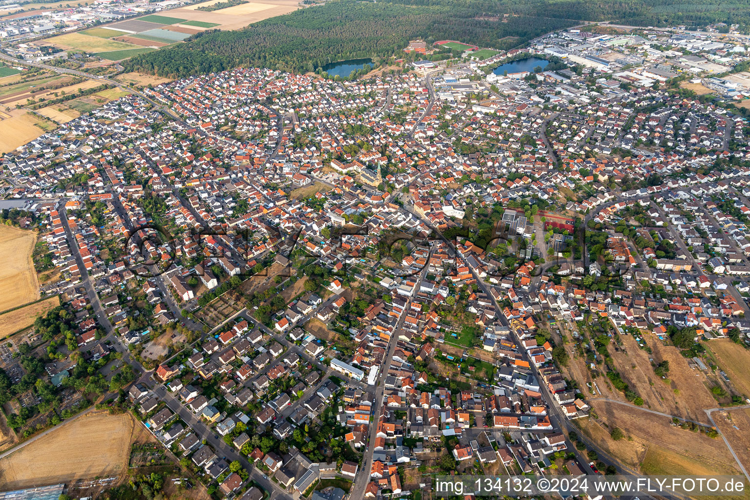 Photographie aérienne de Forst dans le département Bade-Wurtemberg, Allemagne