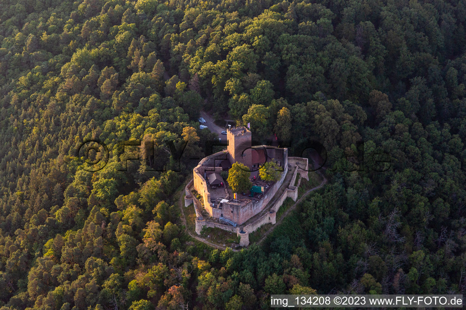 Vue aérienne de Château de Landeck à Klingenmünster à Klingenmünster dans le département Rhénanie-Palatinat, Allemagne