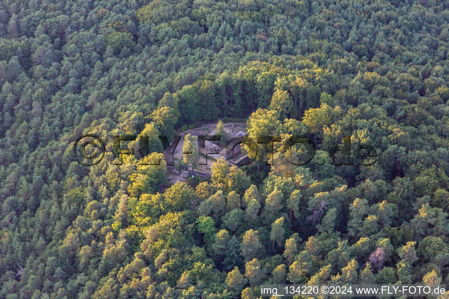 Vue aérienne de Château forestier à Klingenmünster dans le département Rhénanie-Palatinat, Allemagne