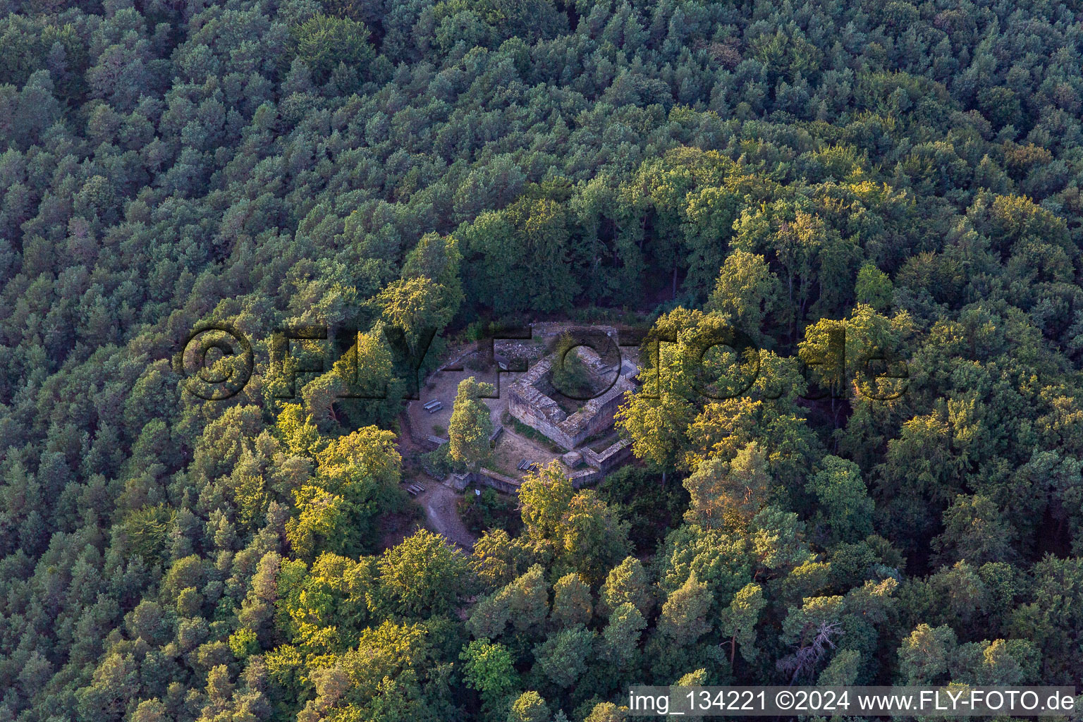 Vue aérienne de Château forestier à Klingenmünster dans le département Rhénanie-Palatinat, Allemagne