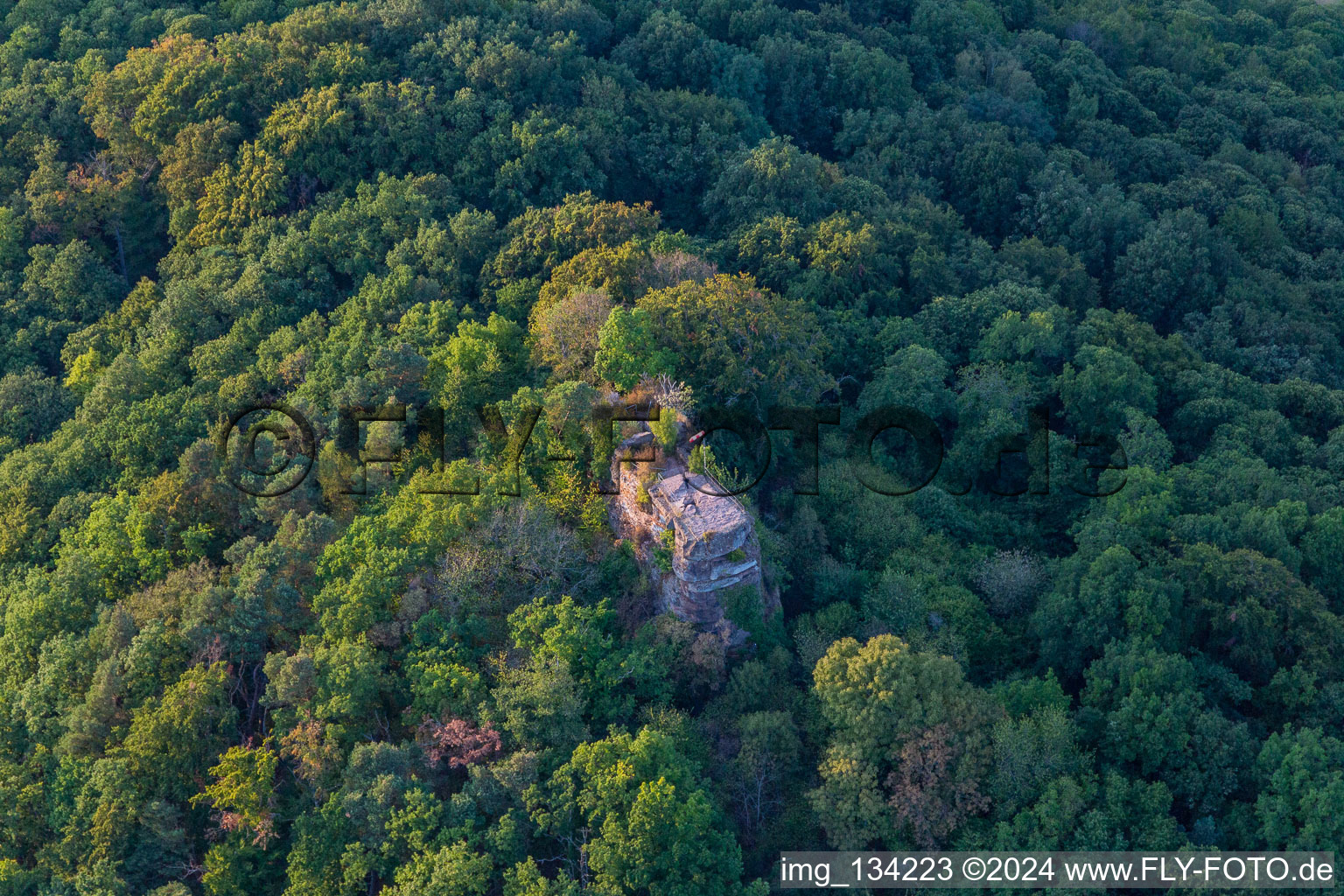 Vue aérienne de Ruines du château de Neukastel à Leinsweiler dans le département Rhénanie-Palatinat, Allemagne