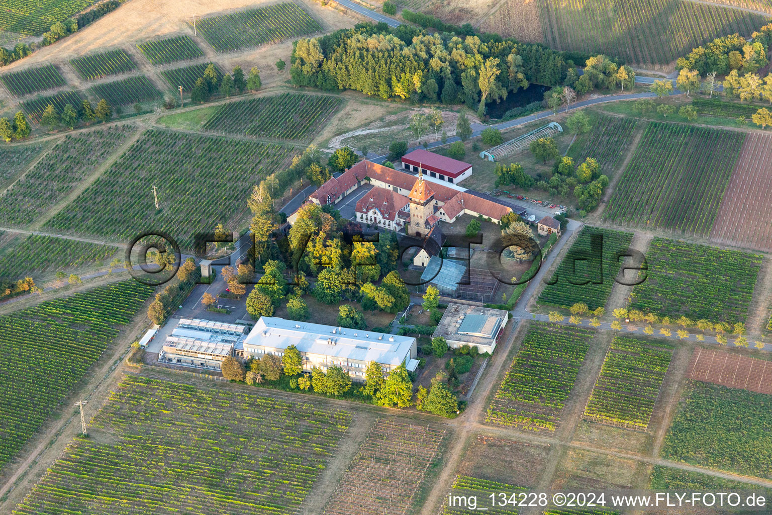 Vue aérienne de Institut JKI de sélection de la vigne Geilweilerhof à Siebeldingen dans le département Rhénanie-Palatinat, Allemagne