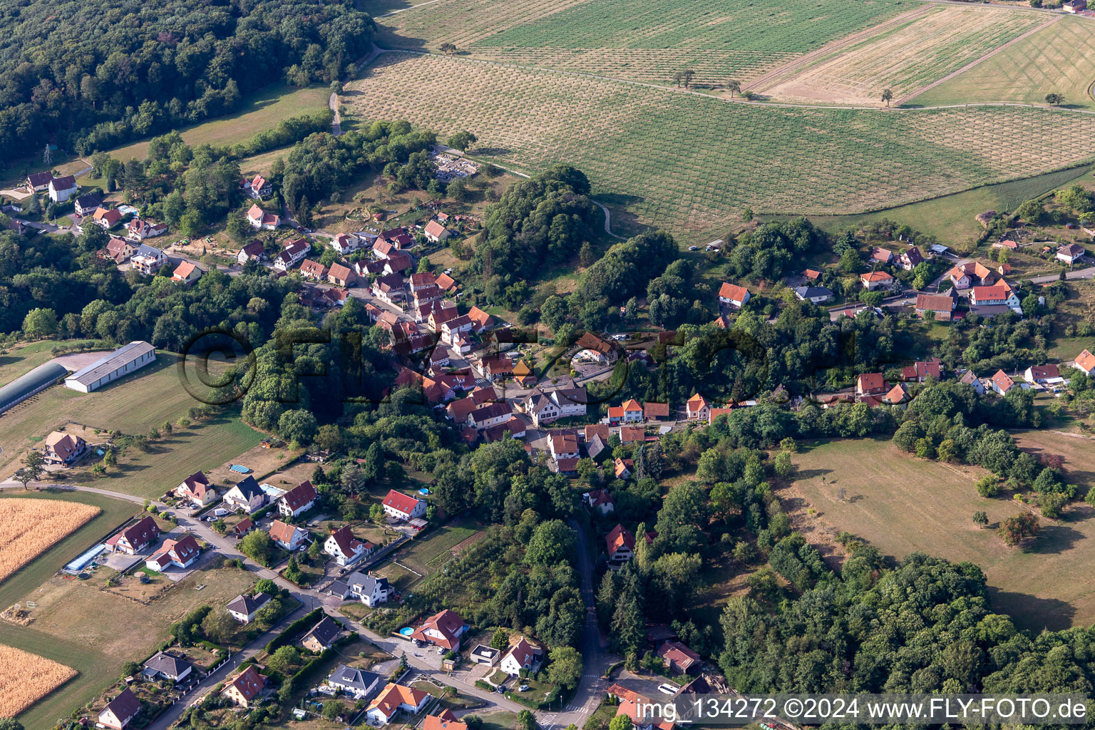 Vue d'oiseau de Drachenbronn-Birlenbach dans le département Bas Rhin, France