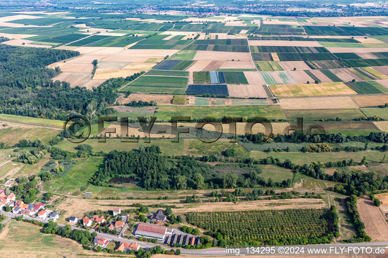 Vue aérienne de Réserve naturelle Billigheimer Bruch à le quartier Mühlhofen in Billigheim-Ingenheim dans le département Rhénanie-Palatinat, Allemagne