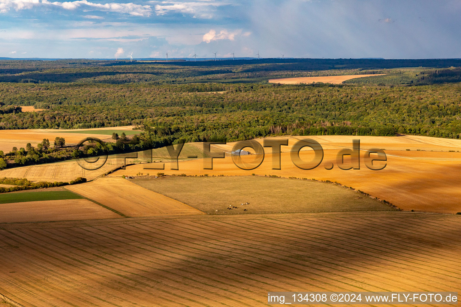 Vue aérienne de Aérodrome, Base ULM à Chassey-Beaupré dans le département Meuse, France