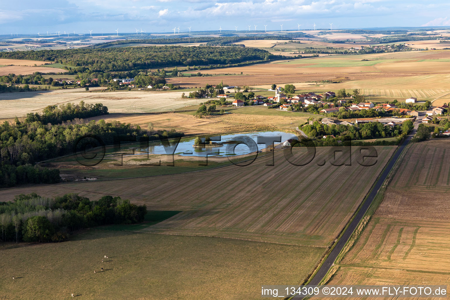 Vue aérienne de Étang du Fourmeau à Chassey-Beaupré dans le département Meuse, France