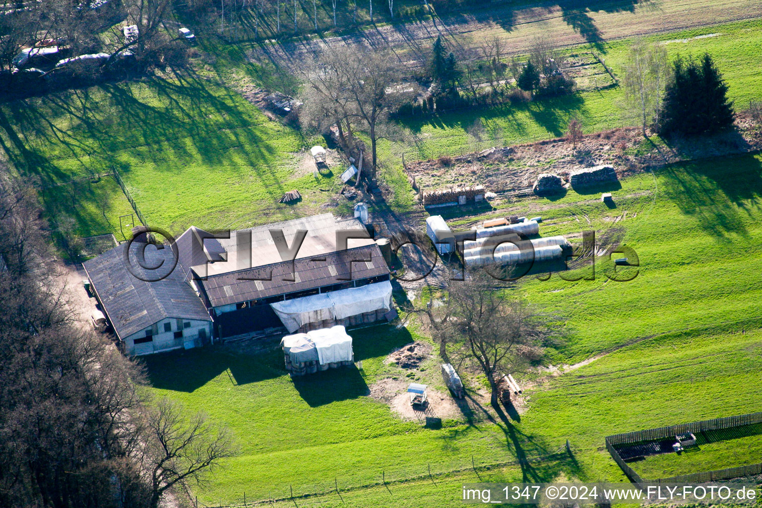 Vue aérienne de Ferme de moutons à Kandel dans le département Rhénanie-Palatinat, Allemagne