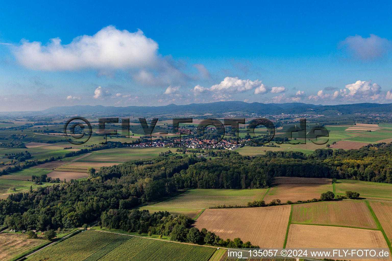 Enregistrement par drone de Quartier Mühlhofen in Billigheim-Ingenheim dans le département Rhénanie-Palatinat, Allemagne