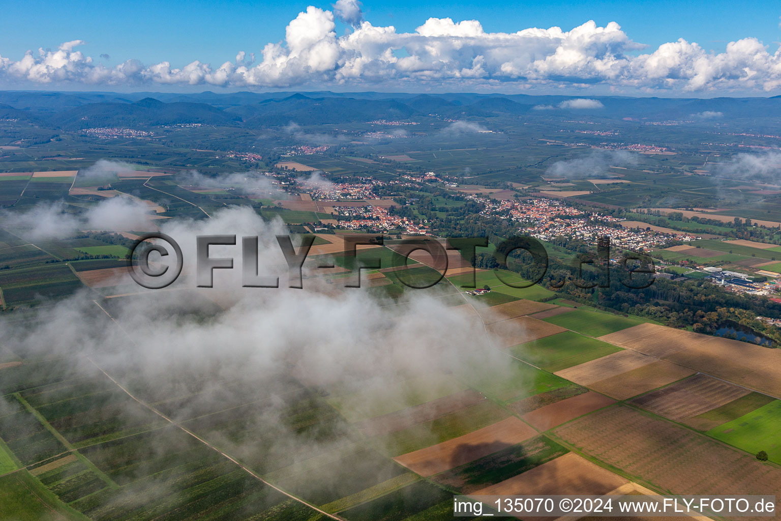 Quartier Billigheim in Billigheim-Ingenheim dans le département Rhénanie-Palatinat, Allemagne vue du ciel