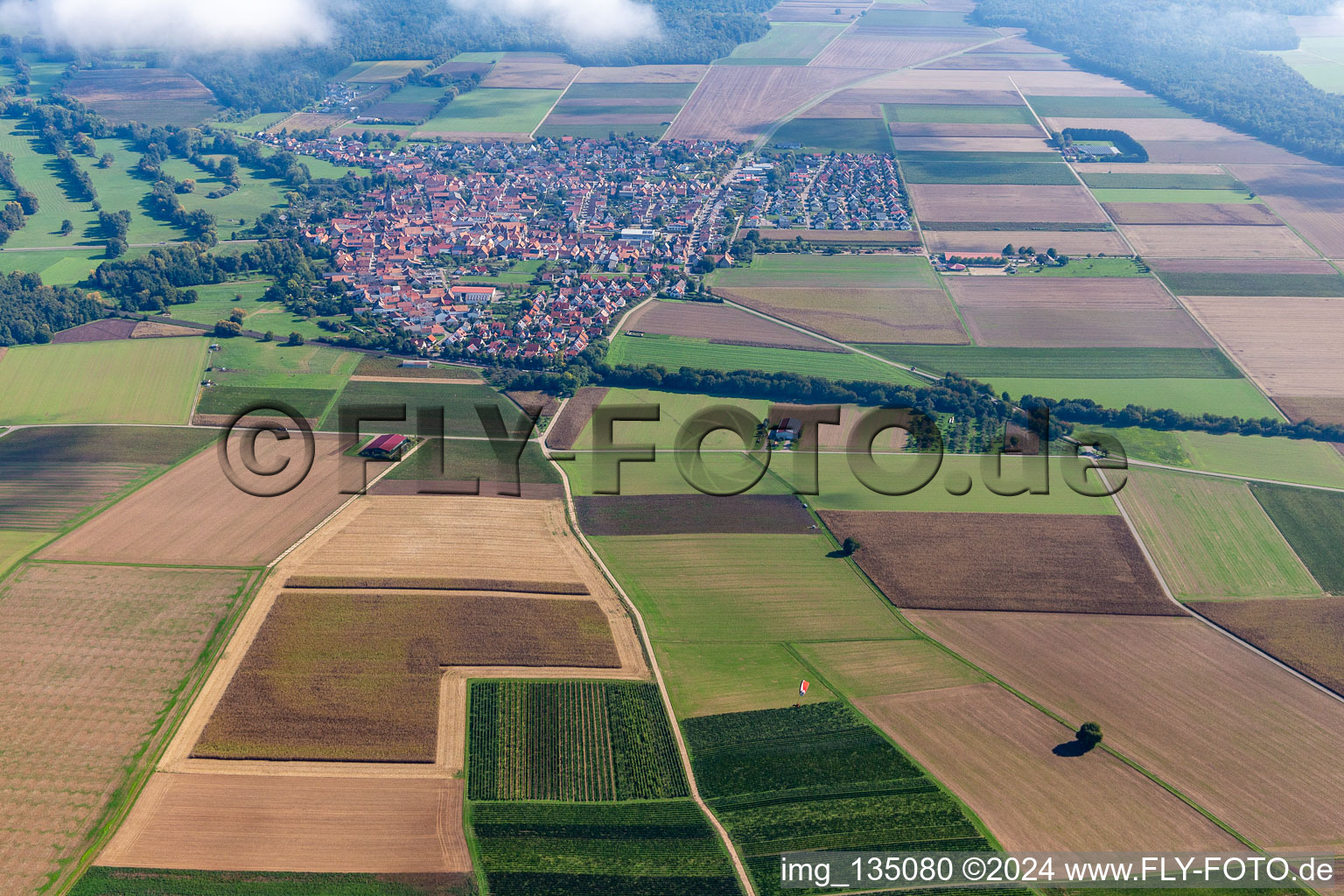 Vue oblique de Steinweiler dans le département Rhénanie-Palatinat, Allemagne