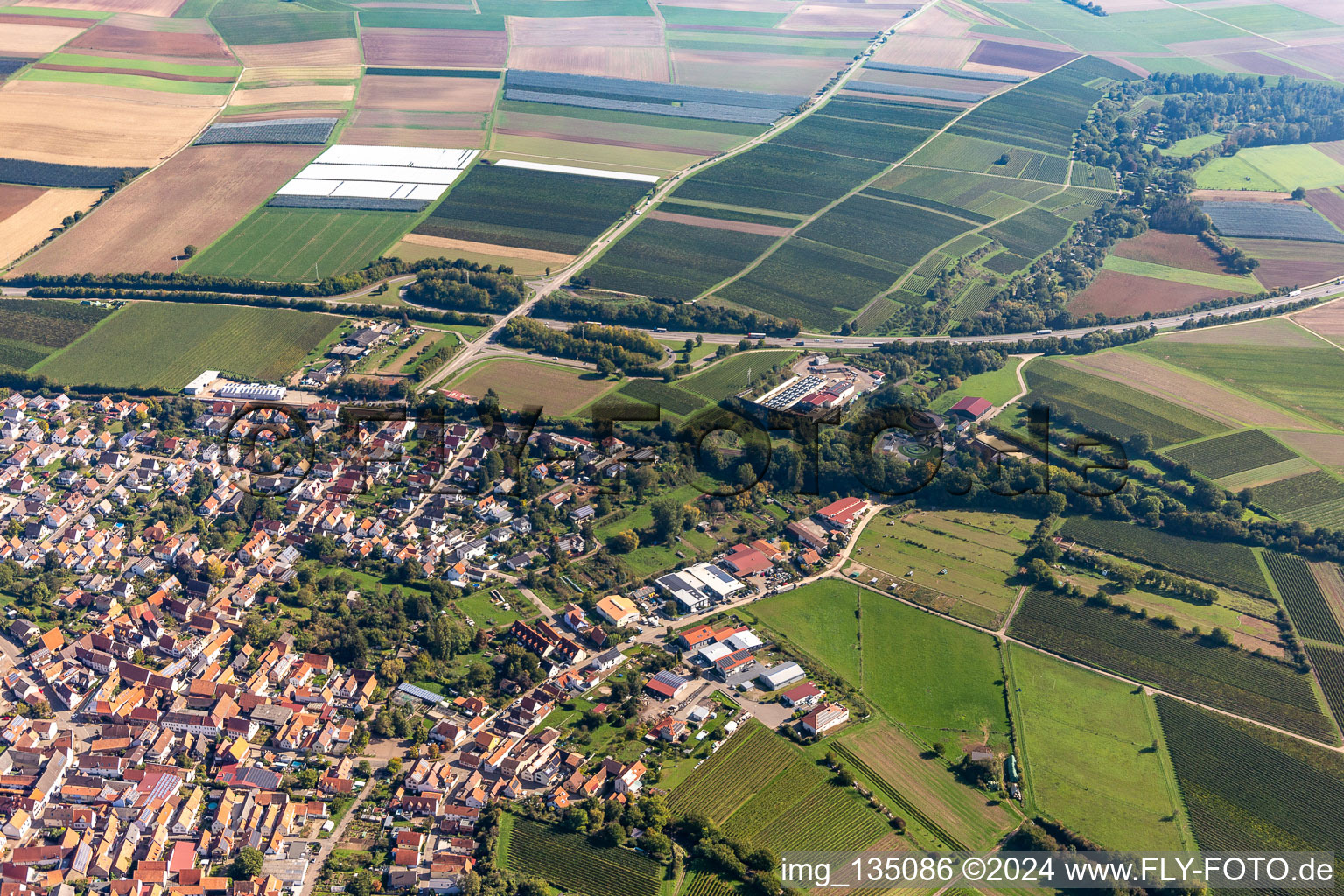 Insheim dans le département Rhénanie-Palatinat, Allemagne du point de vue du drone