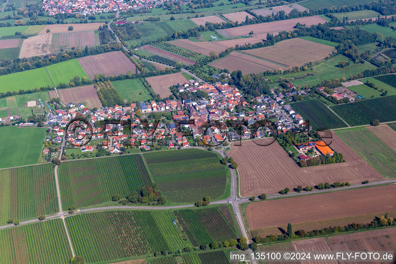 Großfischlingen dans le département Rhénanie-Palatinat, Allemagne vu d'un drone