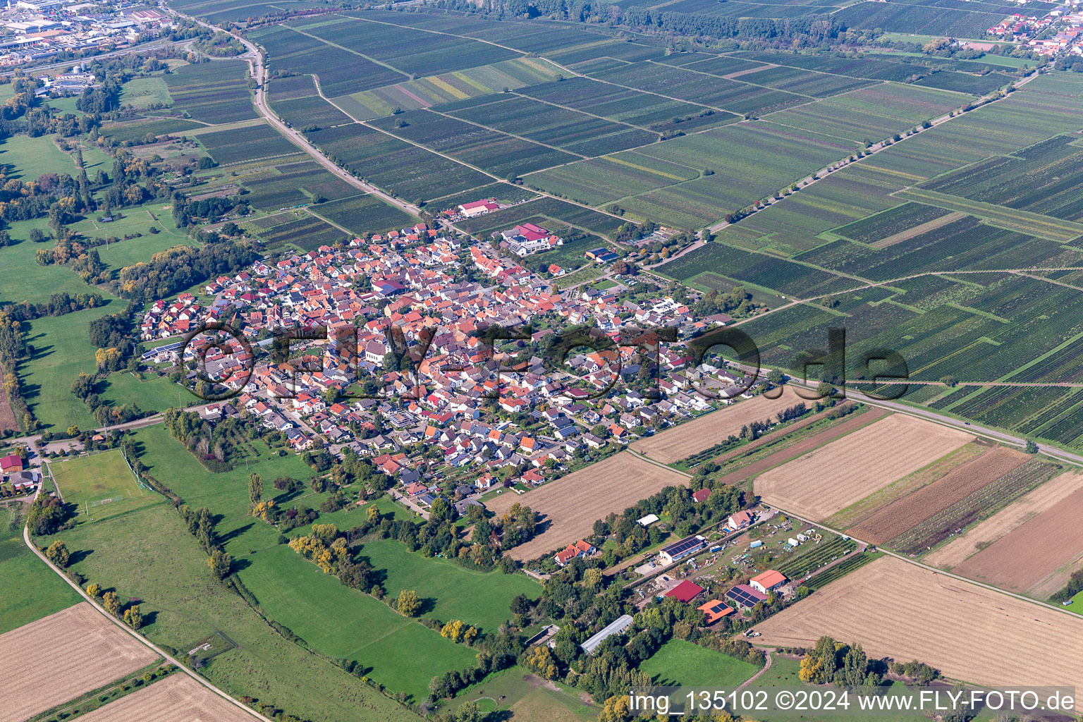 Vue d'oiseau de Venningen dans le département Rhénanie-Palatinat, Allemagne