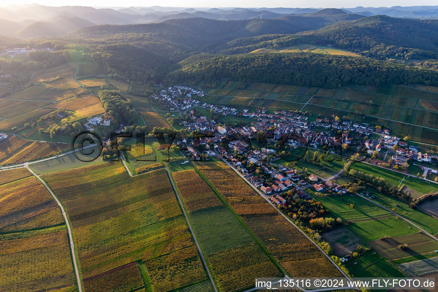 Image drone de Quartier Pleisweiler in Pleisweiler-Oberhofen dans le département Rhénanie-Palatinat, Allemagne