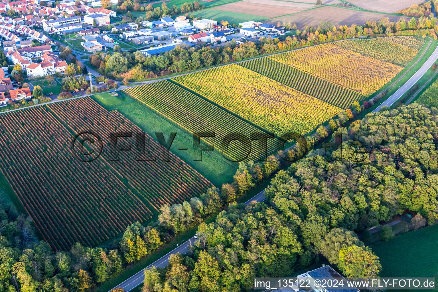 Vue aérienne de Vignes aux couleurs de l'automne à Bad Bergzabern dans le département Rhénanie-Palatinat, Allemagne