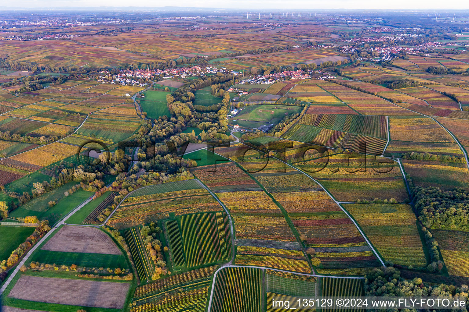 Photographie aérienne de Quartier Heuchelheim in Heuchelheim-Klingen dans le département Rhénanie-Palatinat, Allemagne