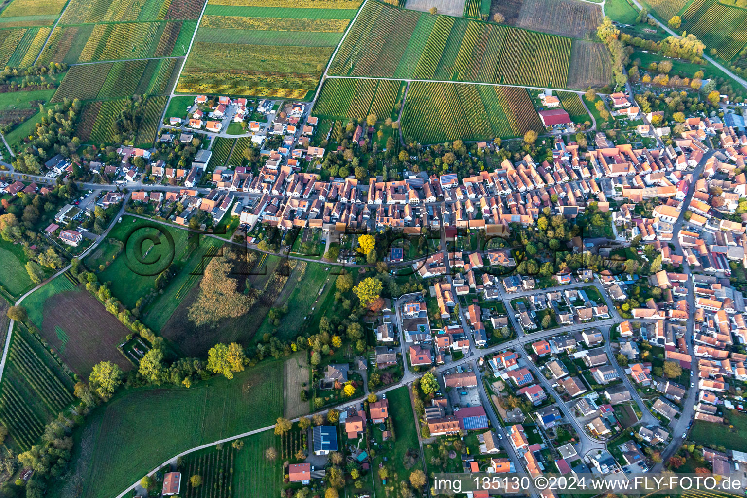 Vue oblique de Göcklingen dans le département Rhénanie-Palatinat, Allemagne