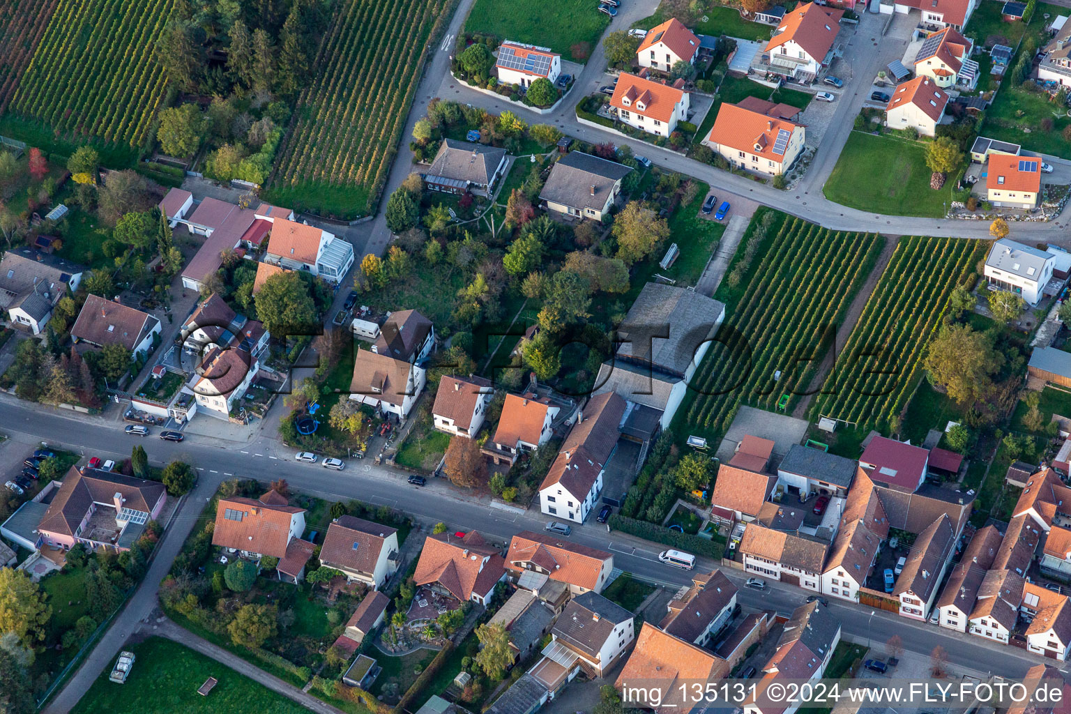 Vue aérienne de Rue Haupt à Göcklingen dans le département Rhénanie-Palatinat, Allemagne