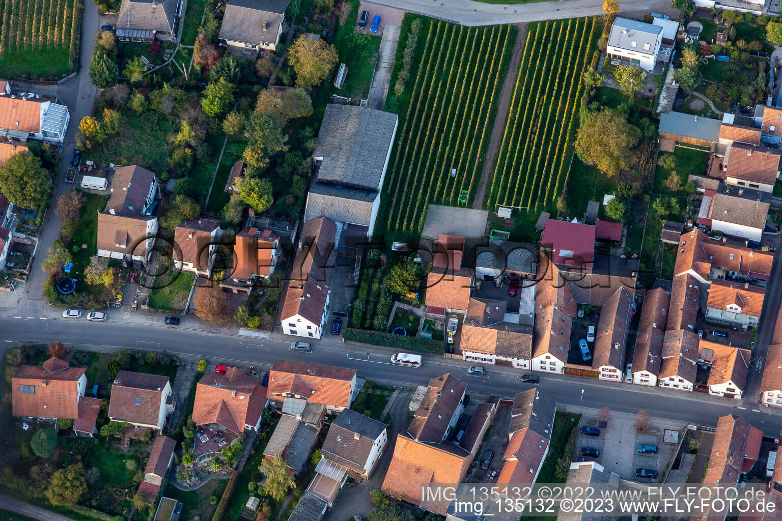 Vue aérienne de Rue Haupt à Göcklingen dans le département Rhénanie-Palatinat, Allemagne