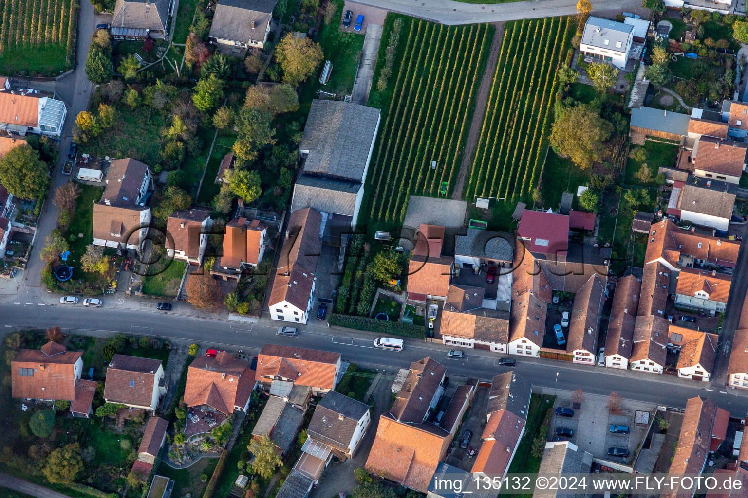 Vue aérienne de Rue Haupt à Göcklingen dans le département Rhénanie-Palatinat, Allemagne