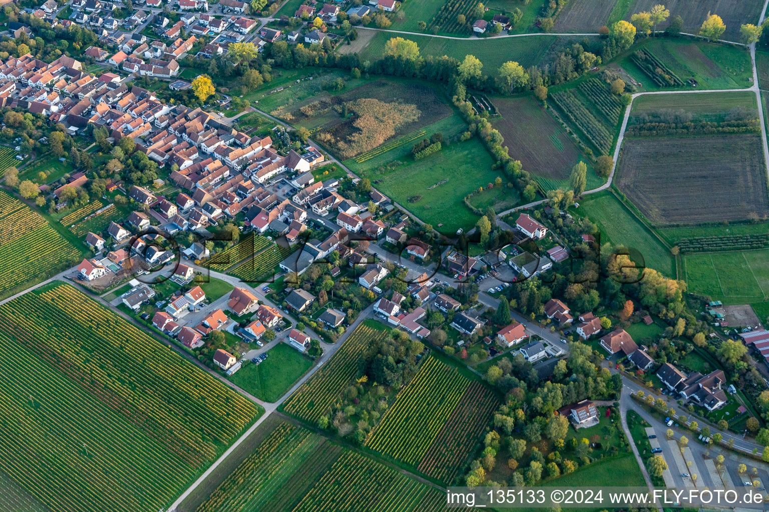 Vue aérienne de Maison du Vin Fabio à Göcklingen dans le département Rhénanie-Palatinat, Allemagne