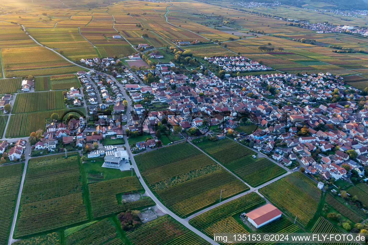 Image drone de Quartier Nußdorf in Landau in der Pfalz dans le département Rhénanie-Palatinat, Allemagne