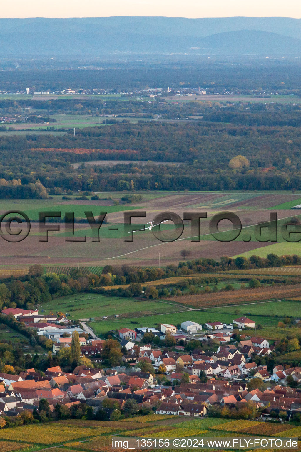 Vue aérienne de Planeur approchant de l'Ebenberg à Landau in der Pfalz dans le département Rhénanie-Palatinat, Allemagne