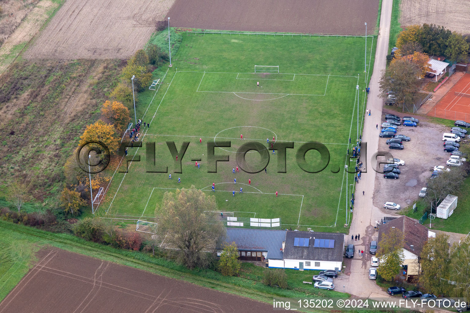 Vue aérienne de SV1946 Minfeld à Minfeld dans le département Rhénanie-Palatinat, Allemagne