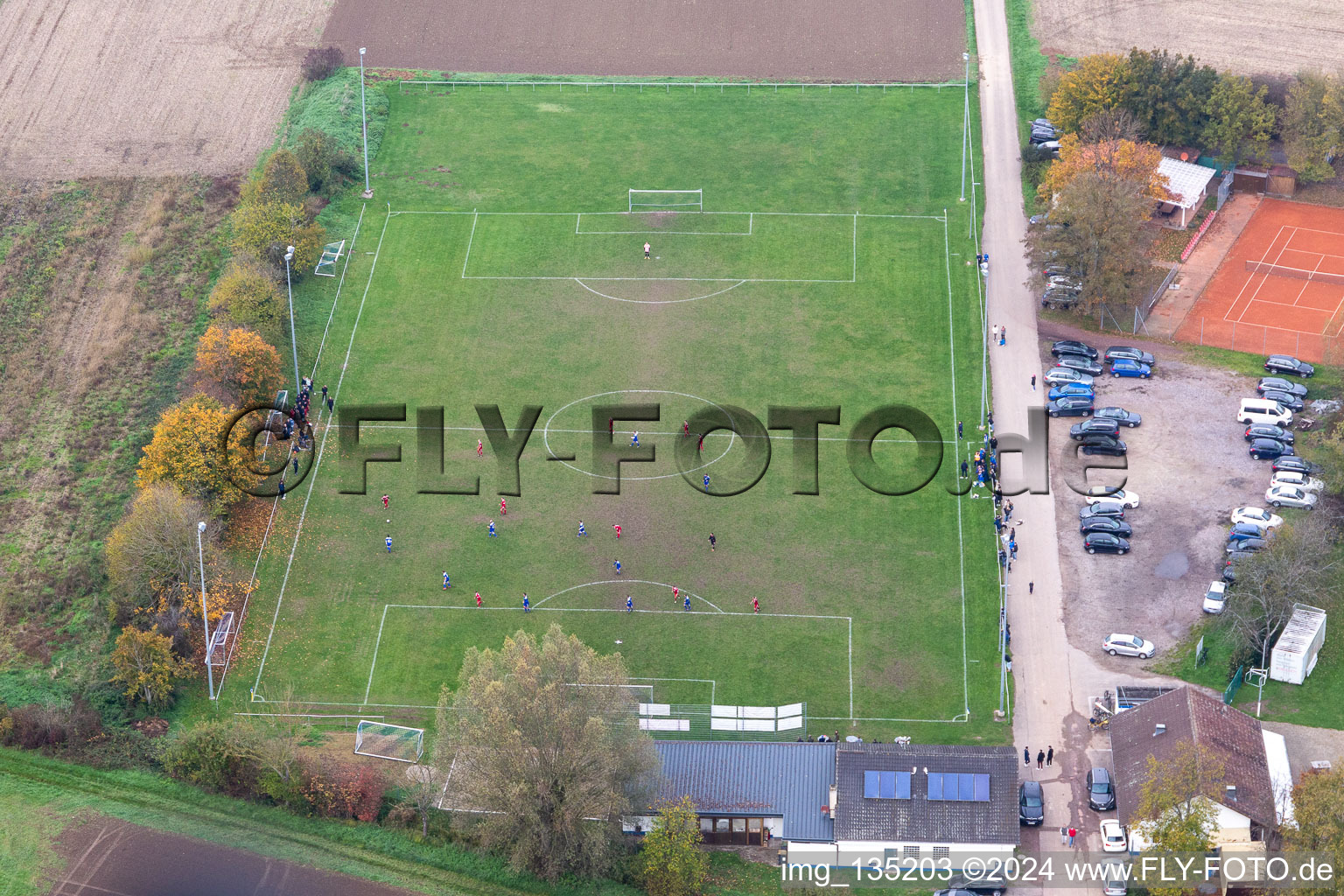 Vue aérienne de SV1946 Minfeld à Minfeld dans le département Rhénanie-Palatinat, Allemagne