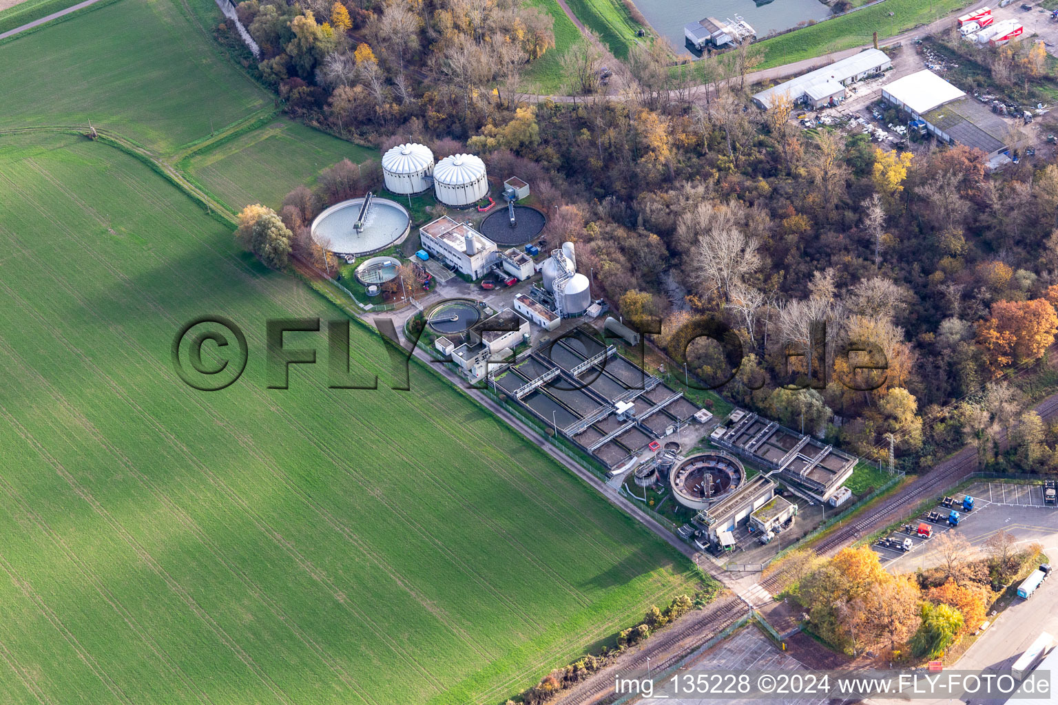 Vue aérienne de Usine de traitement des eaux usées à le quartier Maximiliansau in Wörth am Rhein dans le département Rhénanie-Palatinat, Allemagne