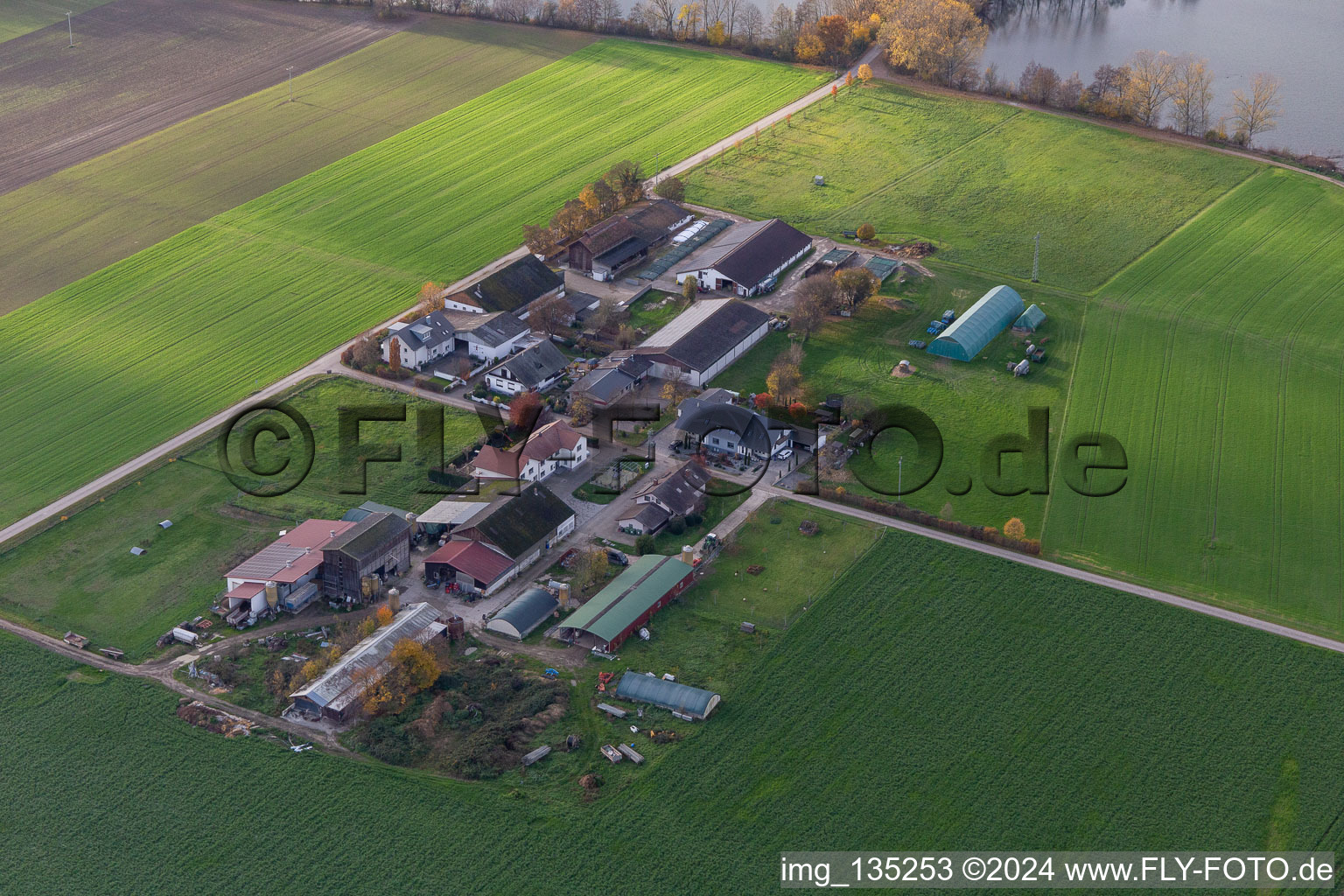 Vue aérienne de Burgerhof, Jägerhof à Neupotz dans le département Rhénanie-Palatinat, Allemagne