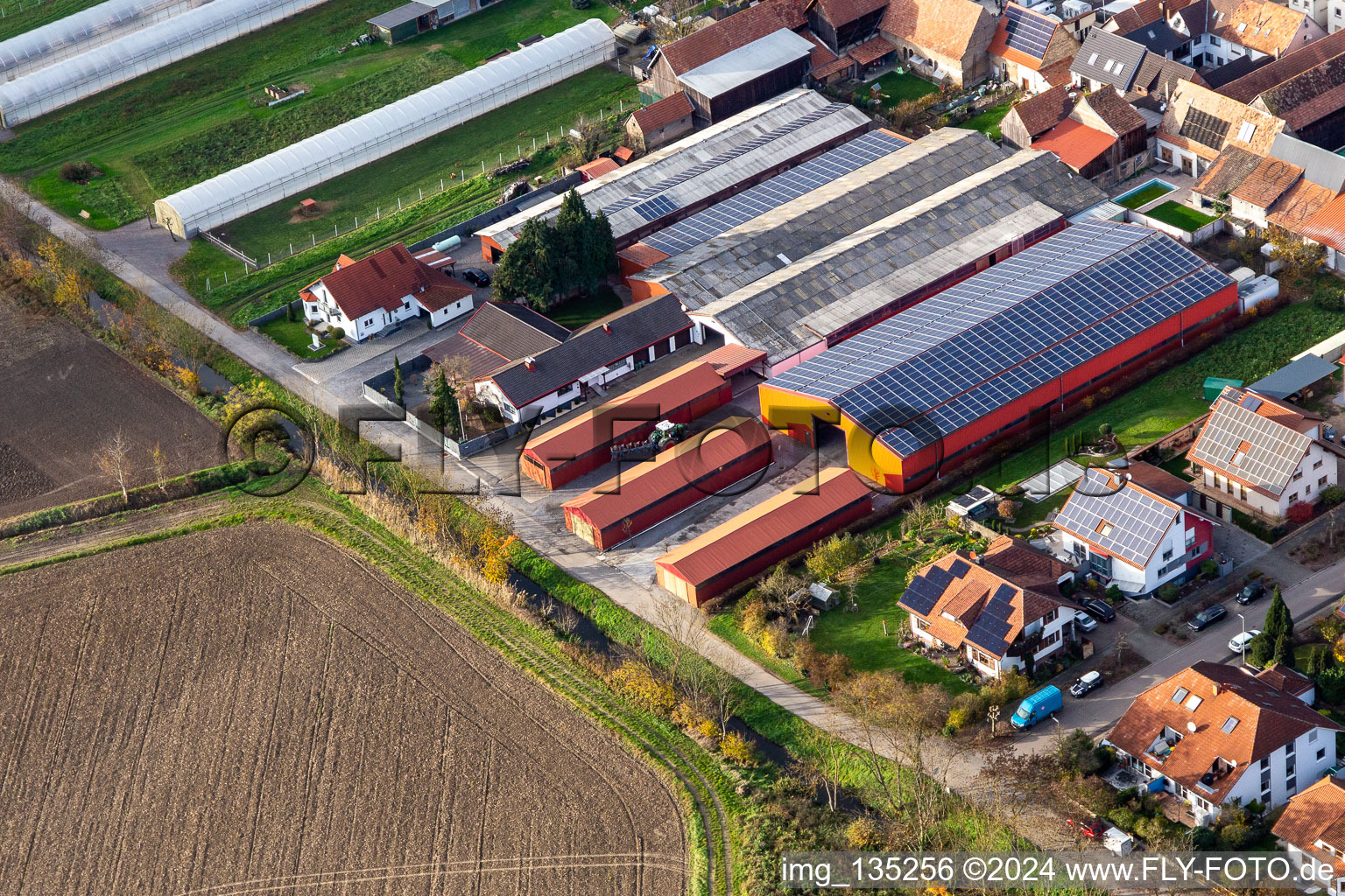 Vue aérienne de À l'Otterbach à Neupotz dans le département Rhénanie-Palatinat, Allemagne