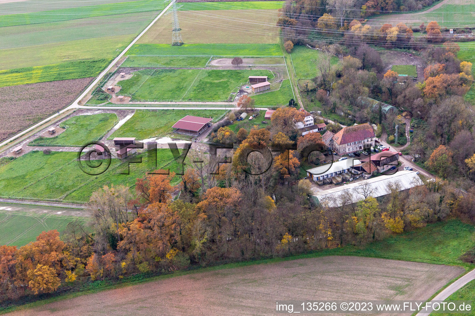 Vue aérienne de Moulin de Wanzheim à Rheinzabern dans le département Rhénanie-Palatinat, Allemagne