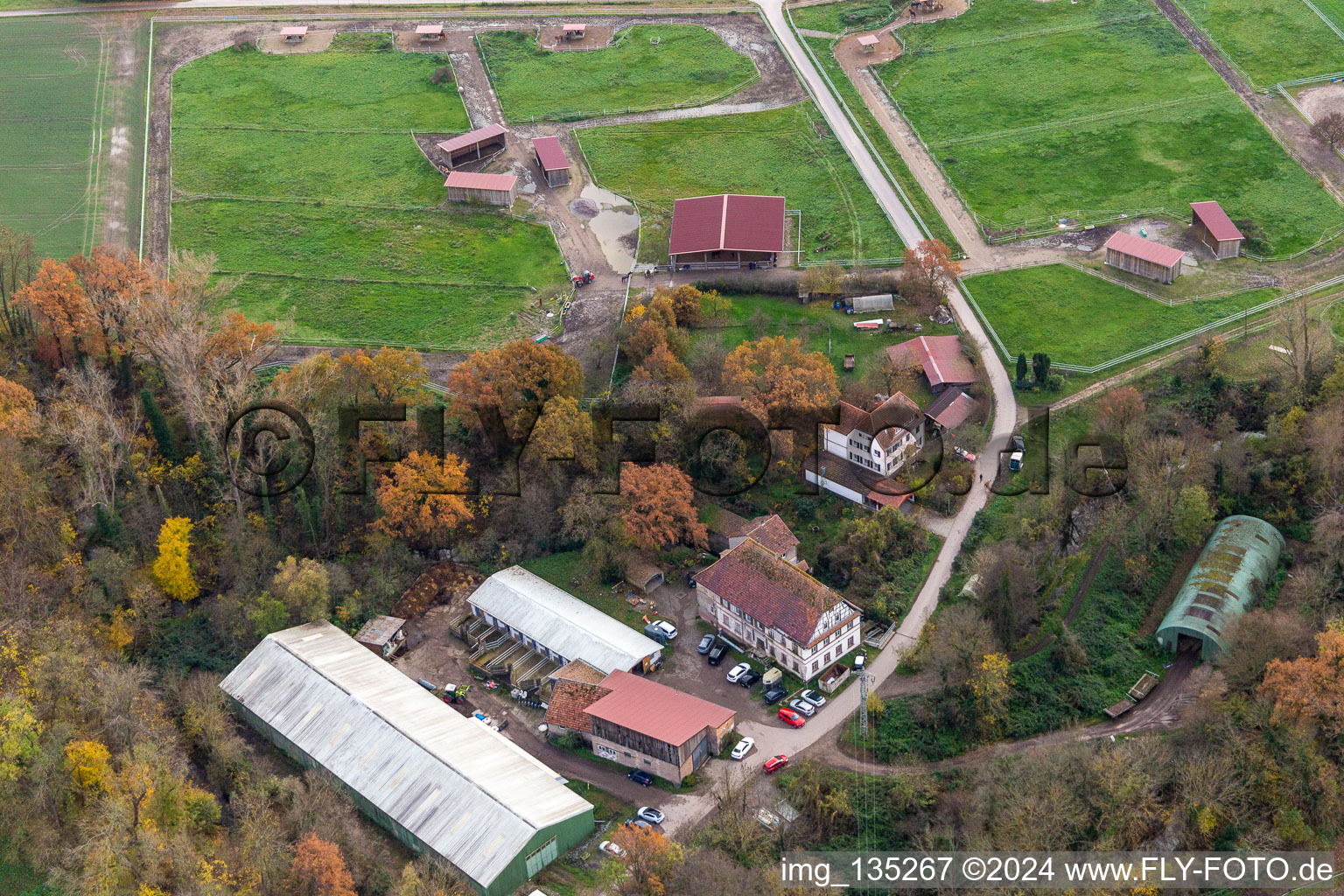 Vue aérienne de Moulin de Wanzheim à Rheinzabern dans le département Rhénanie-Palatinat, Allemagne