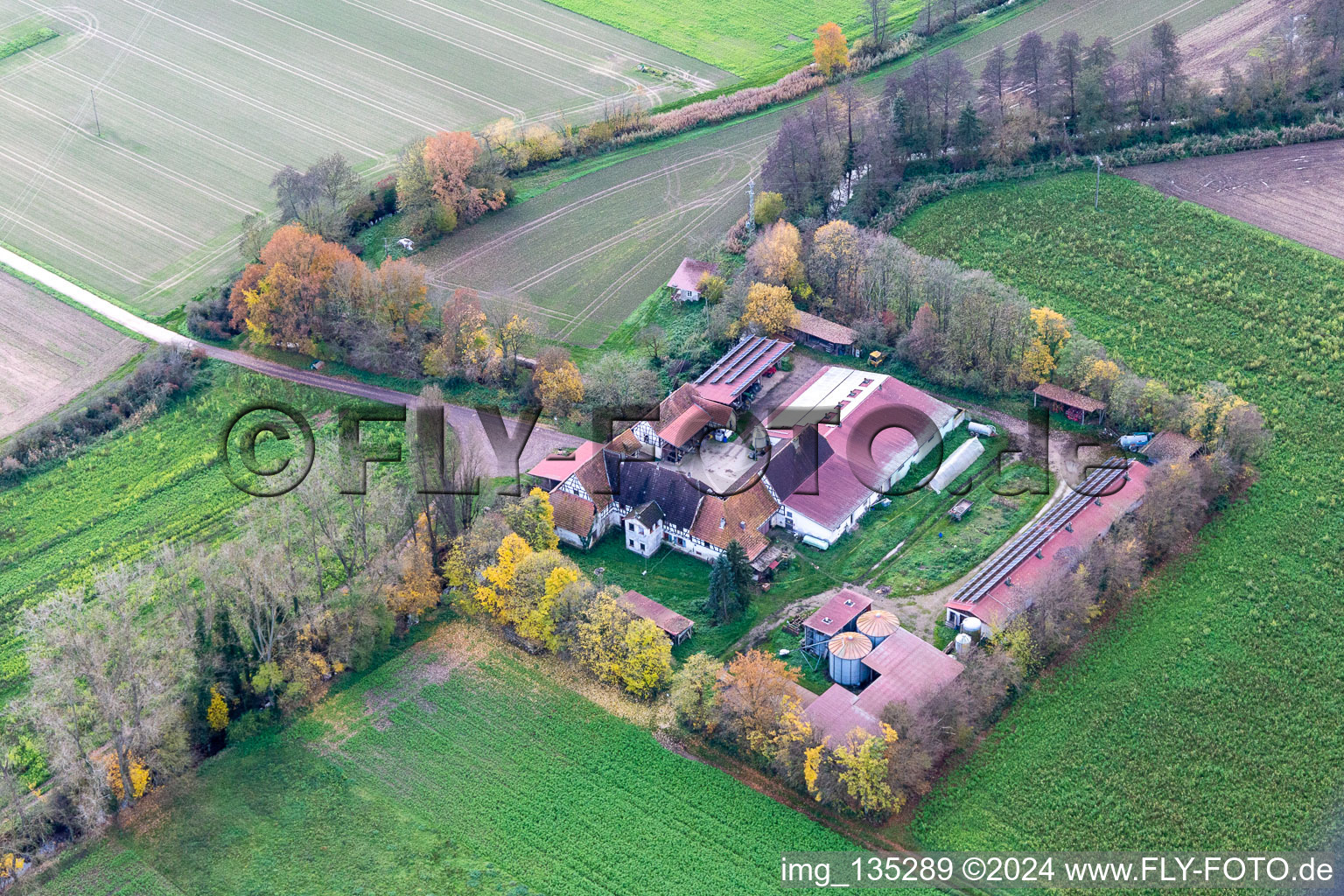 Vue aérienne de Leistenmühle sur l'Erlenbach à Kandel dans le département Rhénanie-Palatinat, Allemagne