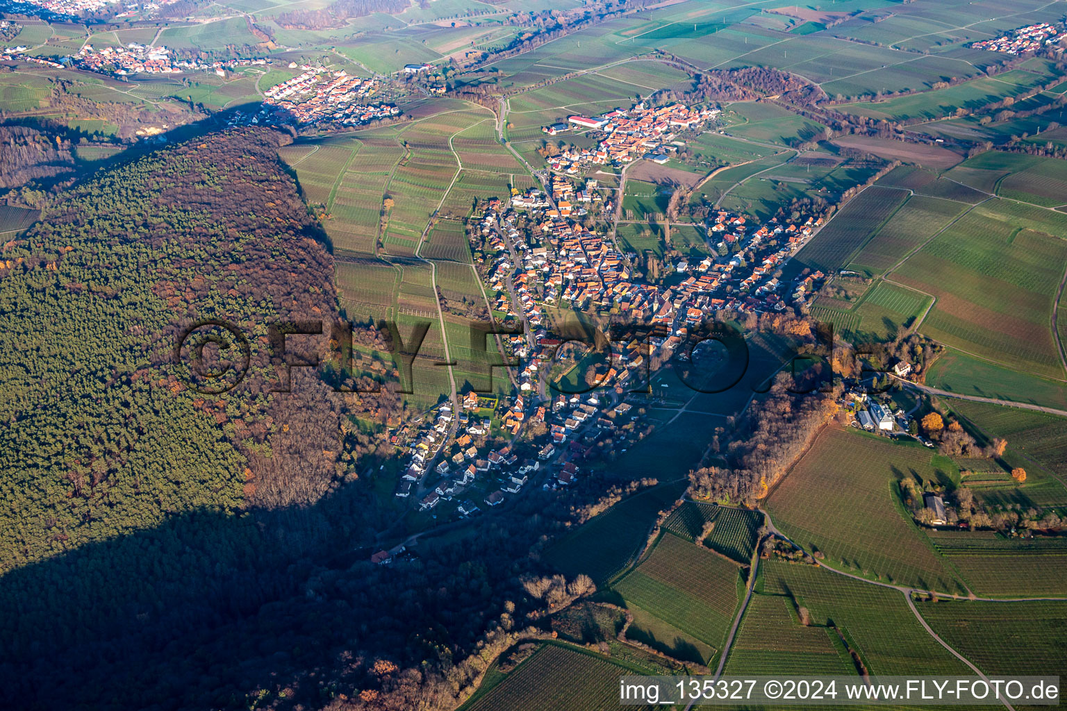 Quartier Pleisweiler in Pleisweiler-Oberhofen dans le département Rhénanie-Palatinat, Allemagne du point de vue du drone