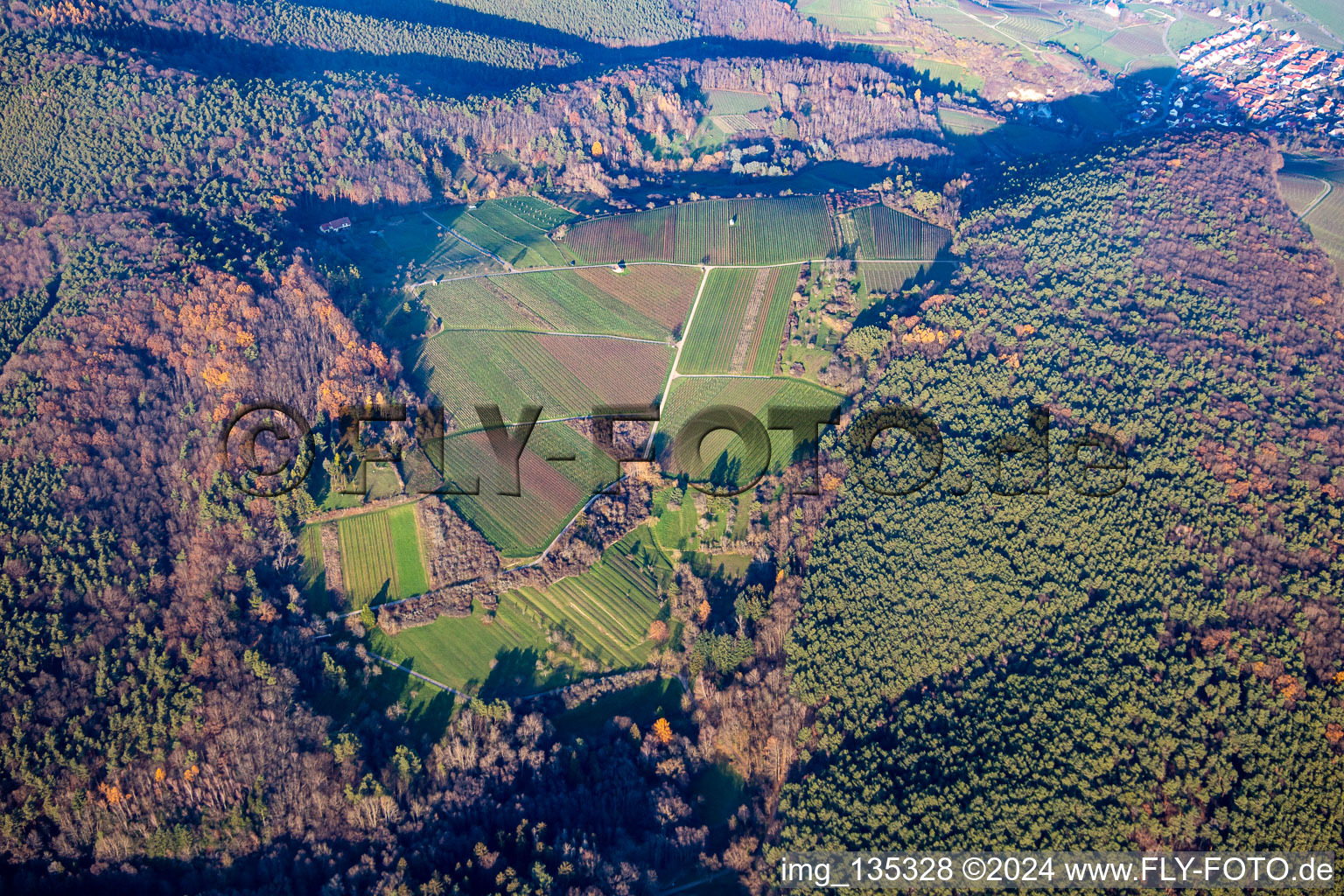 Haardtrand-Wolfsteig à Pleisweiler-Oberhofen dans le département Rhénanie-Palatinat, Allemagne depuis l'avion