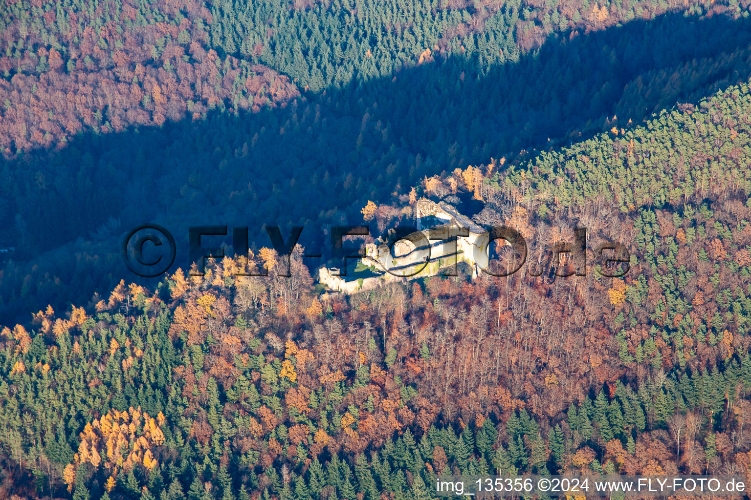 Vue aérienne de Ruines du château de Neuscharfeneck vues du sud à Flemlingen dans le département Rhénanie-Palatinat, Allemagne