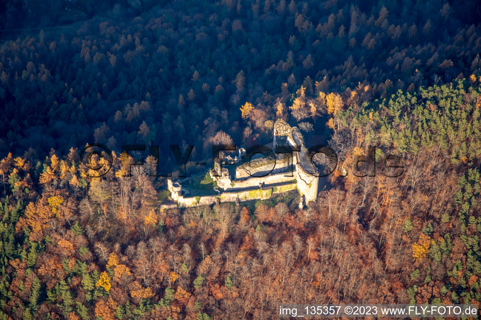 Vue aérienne de Ruines du château de Neuscharfeneck vues du sud à Flemlingen dans le département Rhénanie-Palatinat, Allemagne