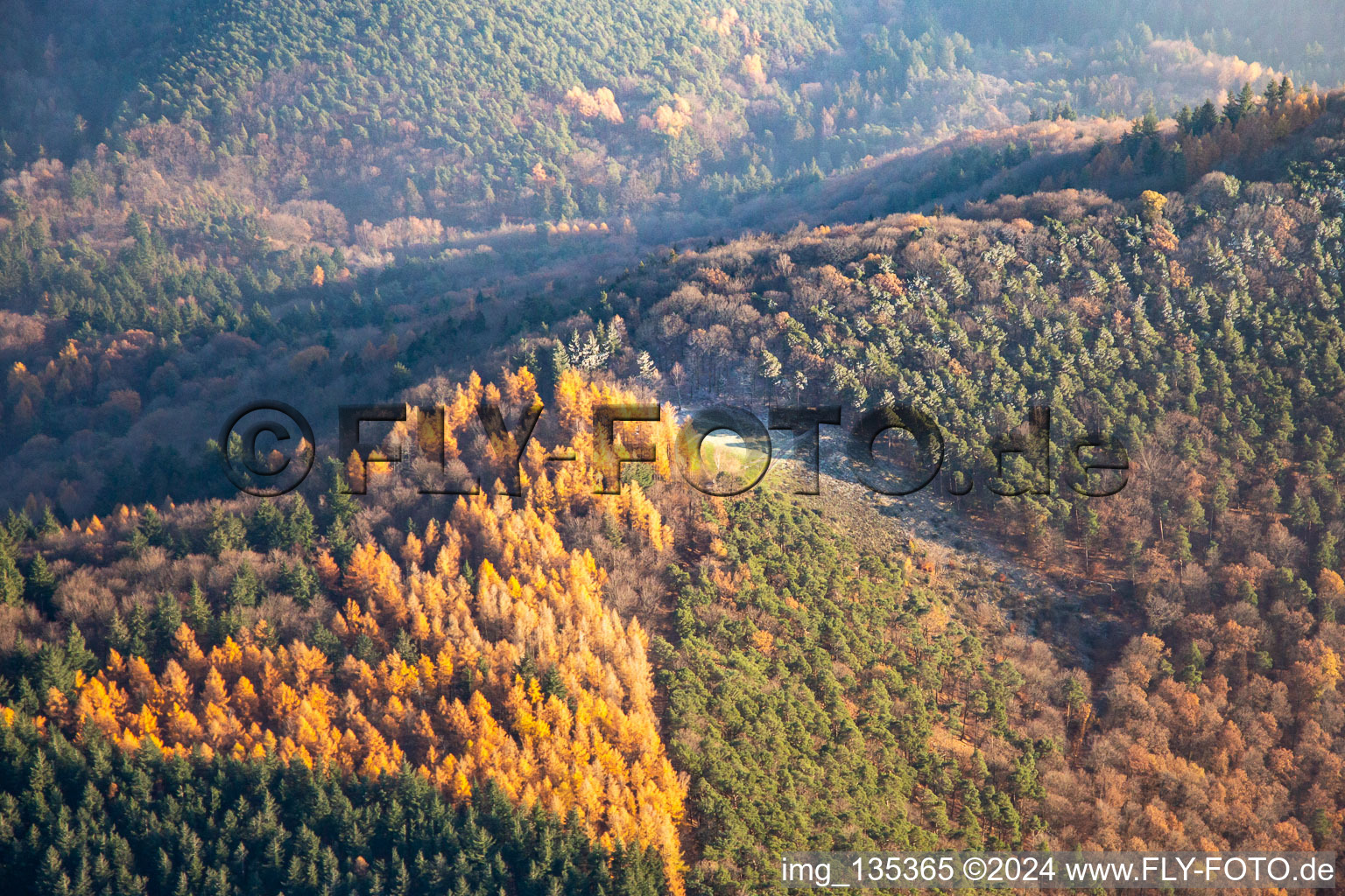 Vue aérienne de Site de décollage de parapente pour les Duddefliechers à Frankweiler dans le département Rhénanie-Palatinat, Allemagne